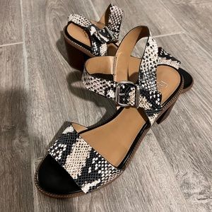 Franco Sarto Women’s Havana Snake Dress Sandals Size 8